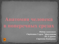 Анатомия человека в поперечных срезах
Работу выполнила
Студентка 2 курса 7