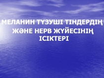 МЕЛАНИН ТҮЗУШІ ТІНДЕРДІҢ
ЖӘНЕ НЕРВ ЖҮЙЕСІНІҢ ІСІКТЕРІ