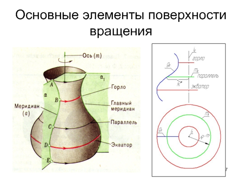 Плоскость вращения. Главный Меридиан поверхности вращения. Параллель поверхности вращения. Меридиан поверхности вращения определяется плоскостью. Основные элементы поверхности вращения.