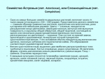 Семейство А́стровые (лат. Asteráceae), или Сложноцве́тные (лат. Compósitae)