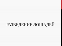 РАЗВЕДЕНИЕ ЛОШАДЕЙ