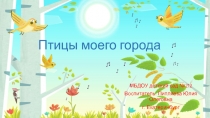 Птицы моего города