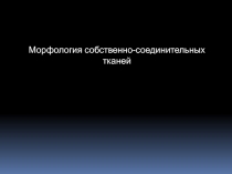 Морфология собственно-соединительных тканей