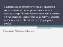 Уақытша және тұрақты тістердің анатомия морфологиялық және рентгенологиялық