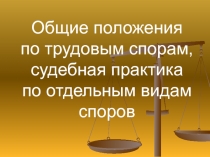 Общие положения по трудовым спорам, судебная практика по отдельным видам споров