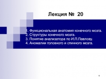 1
Лекция № 20
1. Функциональная анатомия конечного мозга. 2. Структуры