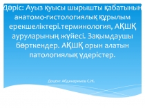 Дәріс: Ауыз қуысы шырышты қабатының анатомо-гистологиялық құрылым