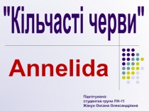 Annelida