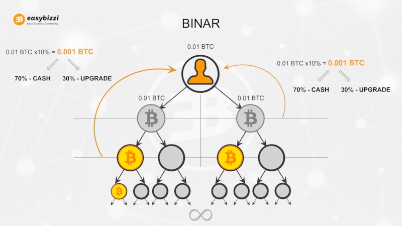МАРКЕТИНГ ПЛАН BINAR0.01 BTC0.01 BTC0.01 BTC0.01 BTC x10% = 0.001 BTC70% - СASH30% BINAR0.01 BTC0.01 BTC0.01 BTC0.01 BTC x10% = 0.001 BTC70% - СASH30% - UPGRADE0.01 BTC x10% = 0.001