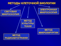 МЕТОДЫ КЛЕТОЧНОЙ БИОЛОГИИ
СВЕТОВАЯ МИКРОСКОПИЯ
МЕТОД РАДИОАВТОГРАФИИ
МЕТОД