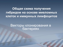 Общая схема получения гибридом на основе миеломных клеток и иммунных лимфоцитов