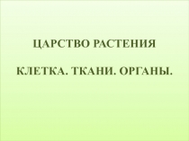 ЦАРСТВО РАСТЕНИЯ
КЛЕТКА. ТКАНИ. ОРГАНЫ