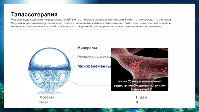 Морская вода содержит. Кожа содержит воду. Клетки богатые водой. Больше всего воды содержится в клетках. Чем плазма похожа на морскую воду.