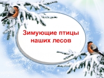 Зимующие птицы
наших лесов
