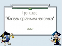 2019 г
Тренажер
