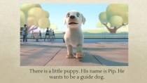 There is a little puppy. His name is Pip. He wants to be a guide dog