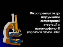 Мікропрепарати до підсумкової семестрової атестації з патоморфології