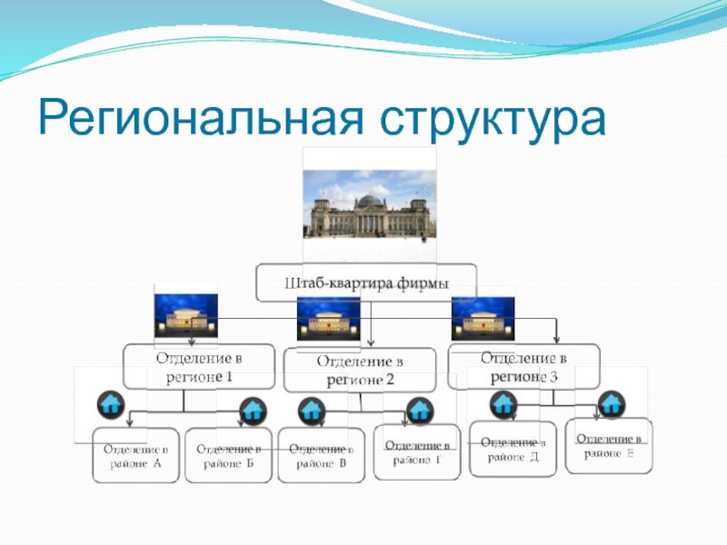 Выполните структурную. Региональная структура. Региональная структура управления. Региональная структура схема. Состоит структура.