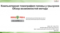 Компьютерная томография головы у грызунов Обзор возможностей метода
