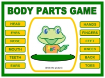 BODY PARTS