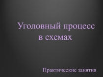 Уголовный процесс в схемах Практические занятия