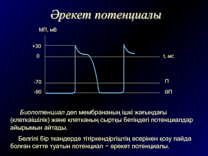 Потенциалы ветвей