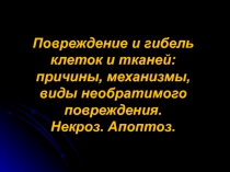 Повреждение и гибель
клеток и тканей:
причины, механизмы,
виды необратимого