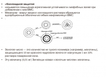 Коллоидной защитой
называется повышение агрегативной устойчивости лиофобных