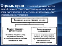 Отрасль права – это обособившаяся внутри данной системы совокупность однородных