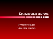 Кровеносная система