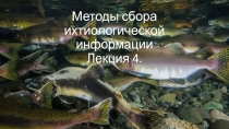 Методы сбора ихтиологической информации Лекция 4