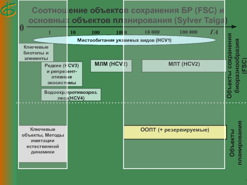 Соотношение объектов. Сохранение ключевых биотопов. Сохранение биотопов FSC. Основные методы урбоэкологических исследований. Сравненительный анализ Фаун бореального региона.