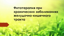 Фитотерапия при хронических заболеваниях желудочно-кишечного тракта