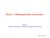 Пименов А.В.
Тема: Эндокринная система
Задачи:
Изучить строение и функции