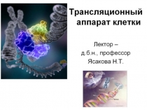 Молекулярно-генетический уровень организации жизни