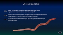 1
Аннелидология
наука, изучающая особенности морфологии, анатомии,
образа жизни