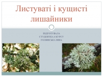 Листуваті і кущисті лишайники