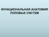 ФУНКЦИОНАЛЬНАЯ АНАТОМИЯ ПОЛОВЫХ СИСТЕМ