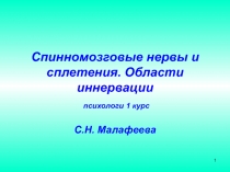 Спинномозговые нервы и сплетения. Области иннервации