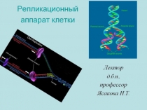 Молекулярно-генетический уровень организации жизни