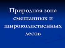Природная зона смешанных и широколиственных лесов