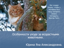 Бог создал Кошку, чтобы у человека был тигр, которого можно погладить. Виктор