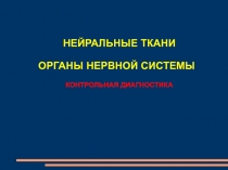 НЕЙРАЛЬНЫЕ ТКАНИ
ОРГАНЫ НЕРВНОЙ СИСТЕМЫ
КОНТРОЛЬНАЯ ДИАГНОСТИКА