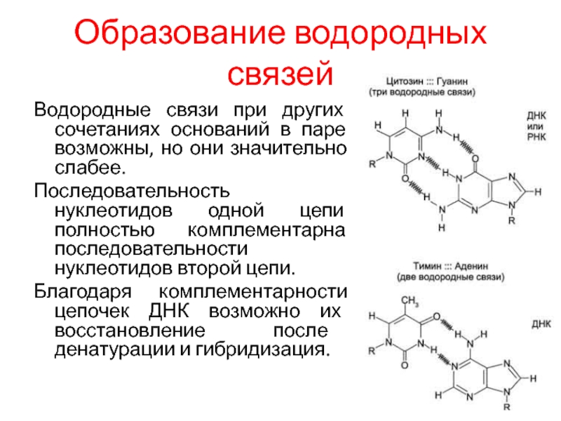 Комбинация основание