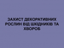 ЗАХИСТ ДЕКОРАТИВНИХ РОСЛИН ВІД ШКІДНИКІВ ТА ХВОРОБ