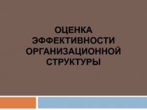 ОЦЕНКА ЭФФЕКТИВНОСТИ ОРГАНИЗАЦИОННОЙ СТРУКТУРЫ