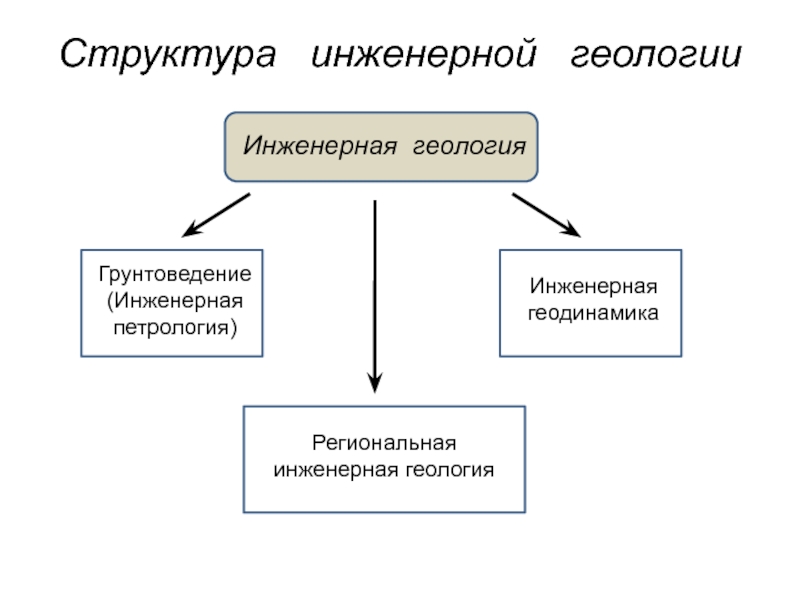 Реферат: Эндогенные геологические процессы: землетрясения