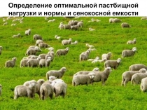 Определение оптимальной пастбищной нагрузки и нормы и сенокосной емкости