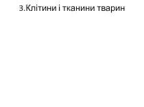 3.Клітини і тканини тварин