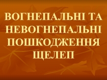 ВОГНЕПАЛЬНІ ТА НЕВОГНЕПАЛЬНІ ПОШКОДЖЕННЯ ЩЕЛЕП